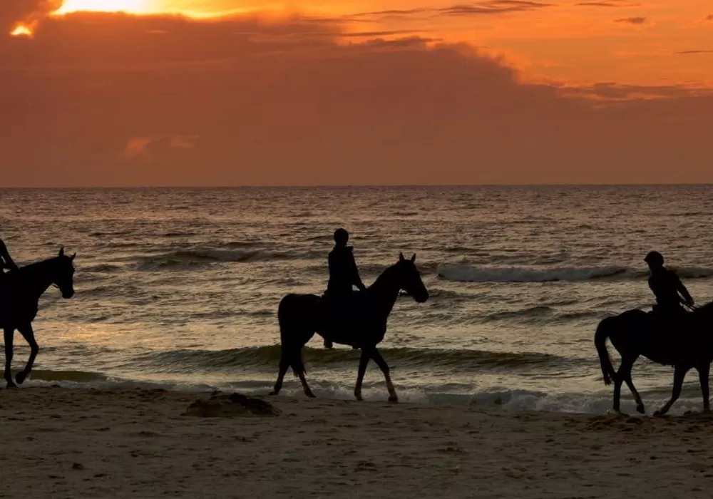 Horse Riding – Phaos Santorini
