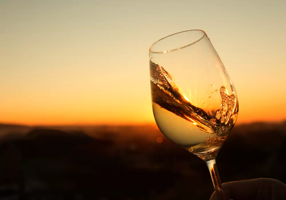 Exclusive Wine Tasting Experience – Phaos Santorini