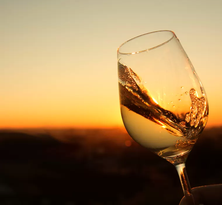 Exclusive Wine Tasting Experience – Phaos Santorini