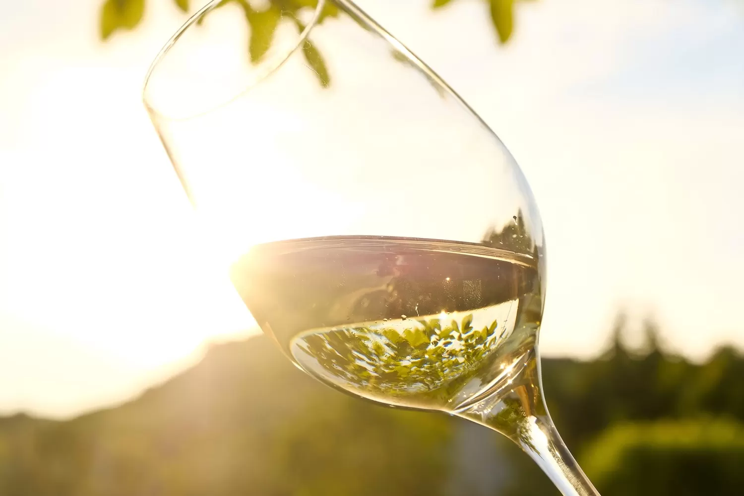 Santorini Wine Tour