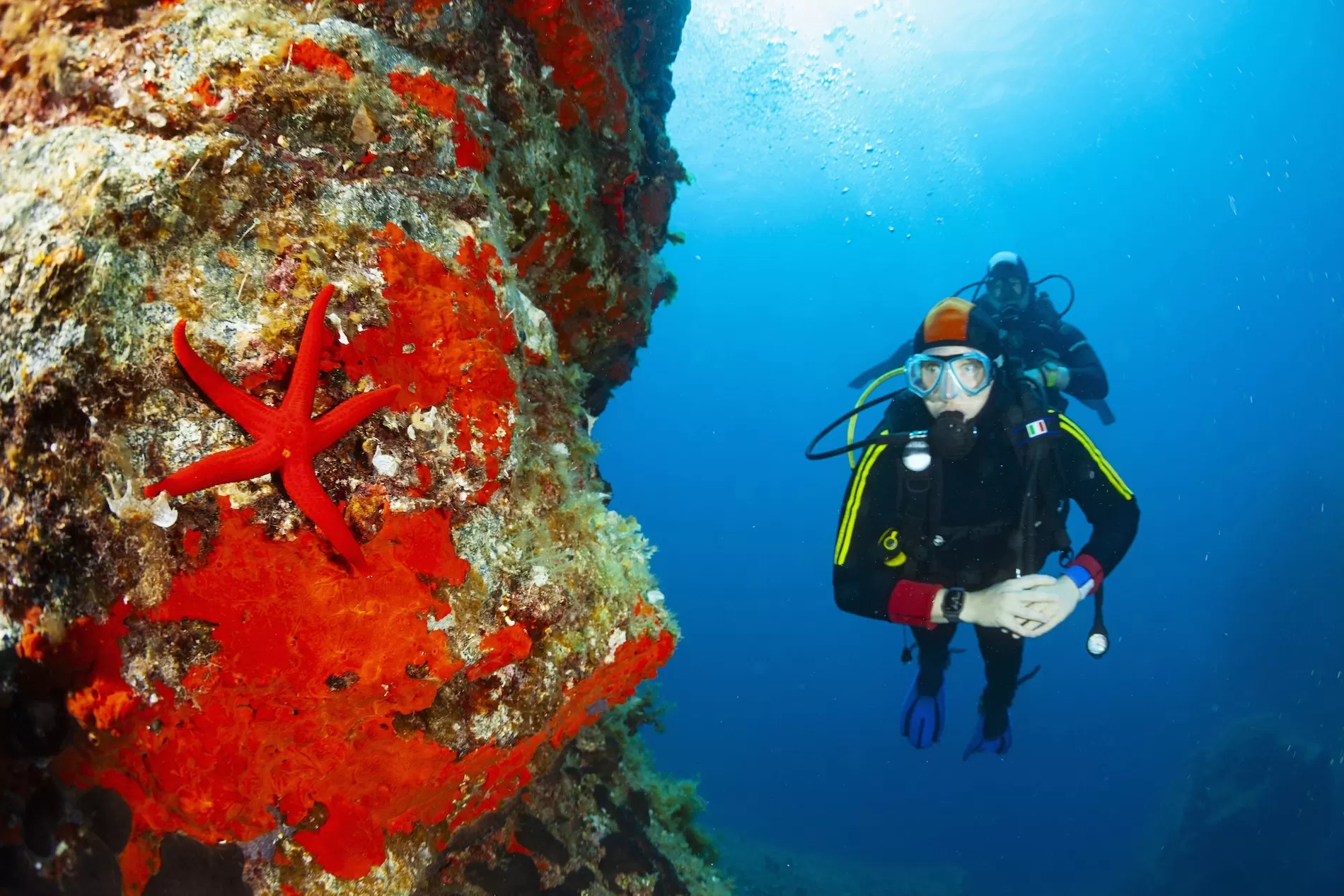 Diving in Santorini: Discover the allure of the underwater world