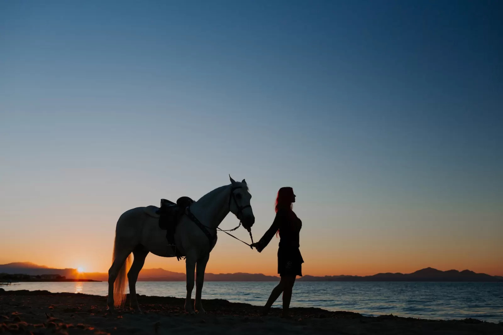 Santorini horse riding